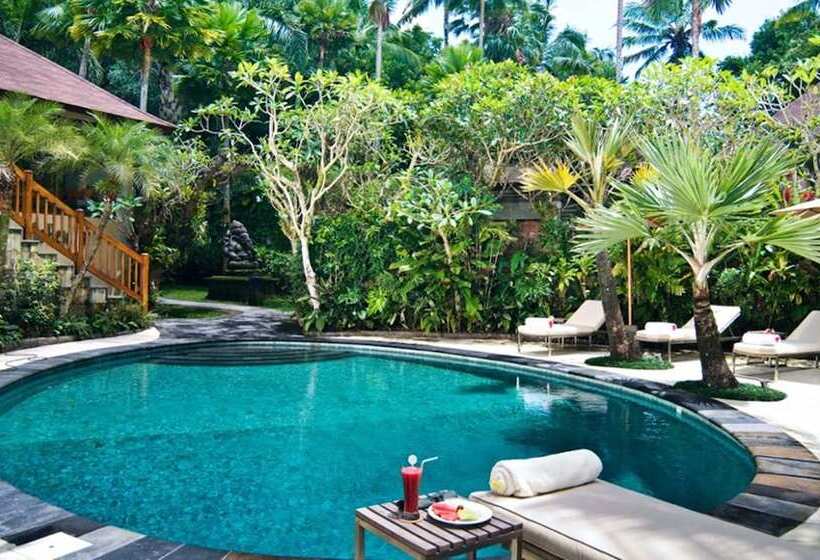 Fotos del hotel Mason Elephant Lodge:  31