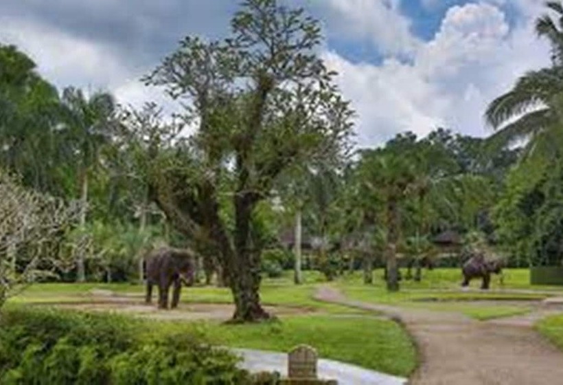 Fotos del hotel Mason Elephant Lodge:  32