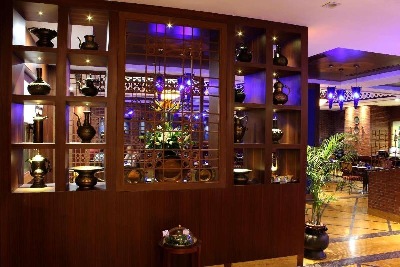 Fotos del hotel Radisson Jaipur City Center:  69