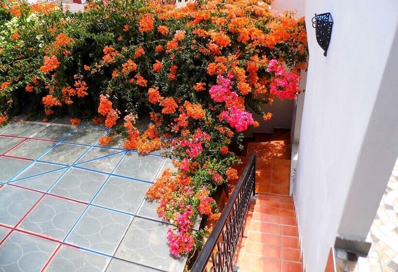 هتل Riad Marlinea