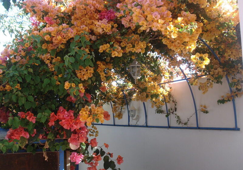 هتل Riad Marlinea