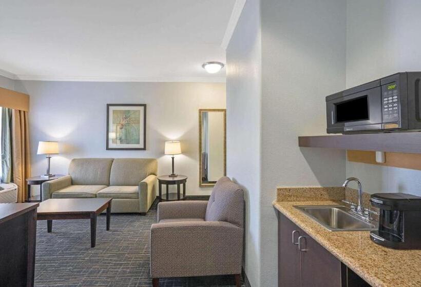 Fotos del hotel La Quinta By Wyndham Houston - Westchase:  54