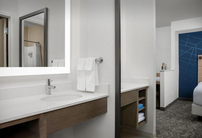 هتل Springhill Suites By Marriott Annapolis