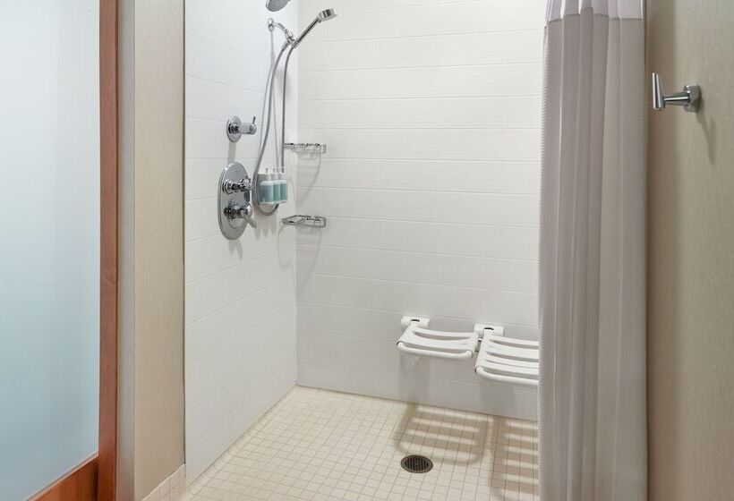 هتل Springhill Suites By Marriott Atlanta Airport Gateway