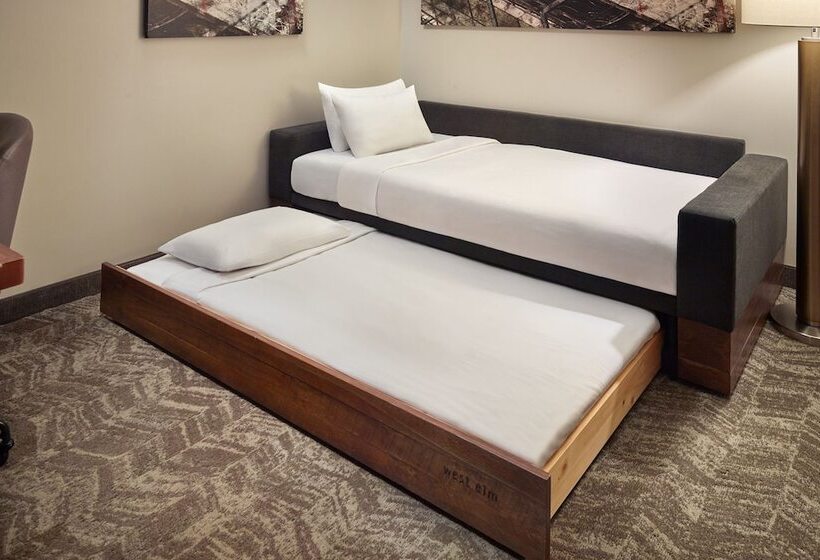 هتل Springhill Suites By Marriott Atlanta Airport Gateway