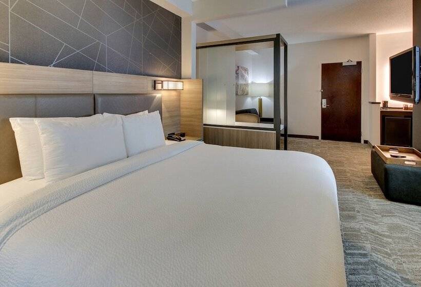 هتل Springhill Suites By Marriott Birmingham Downtown At Uab