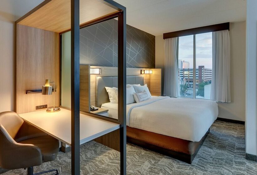 هتل Springhill Suites By Marriott Birmingham Downtown At Uab