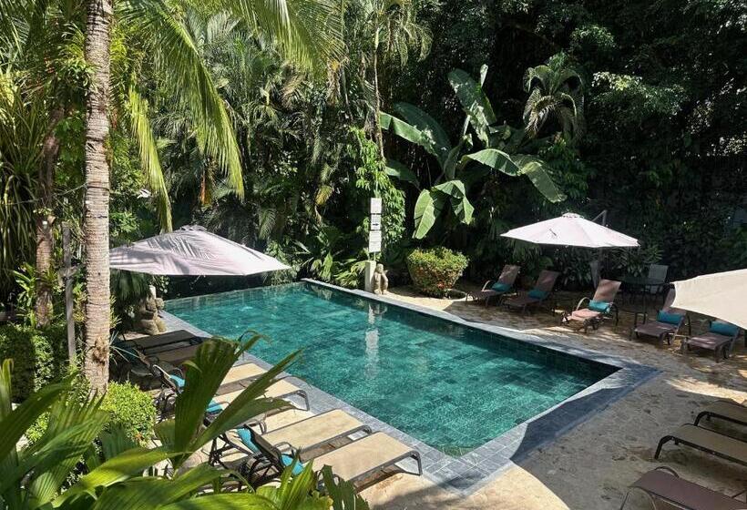 酒店 The Falls Resort At Manuel Antonio  Bed And Breakfast