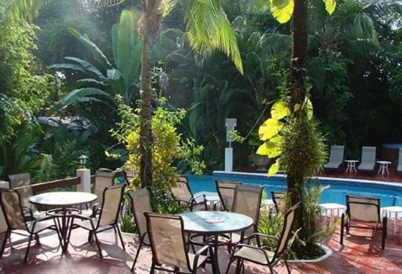 هتل The Falls Resort At Manuel Antonio  Bed And Breakfast