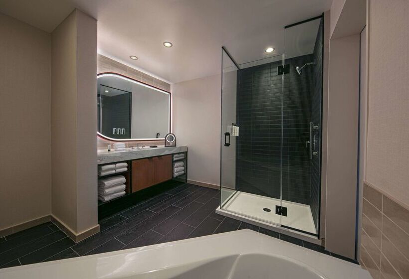 هتل Thewit Chicago, A Hilton