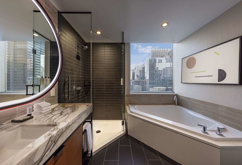هتل Thewit Chicago, A Hilton