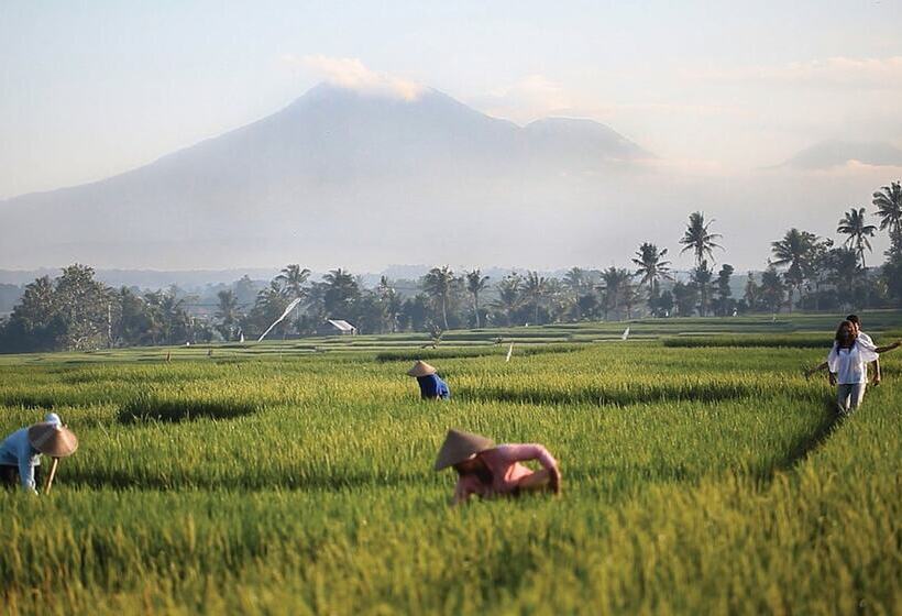 Soori Bali