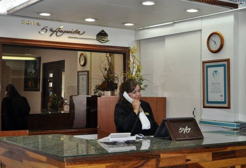 Fotos del hotel Hotel 5a Avenida:  25