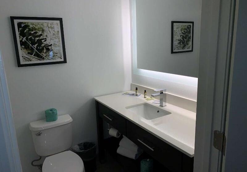 호텔 Best Western Plus Executive Residency Franklin
