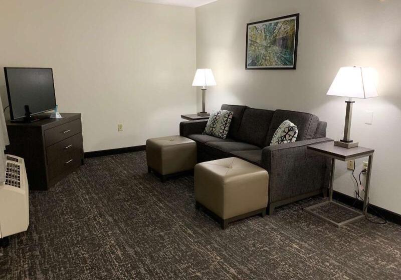 호텔 Best Western Plus Executive Residency Franklin