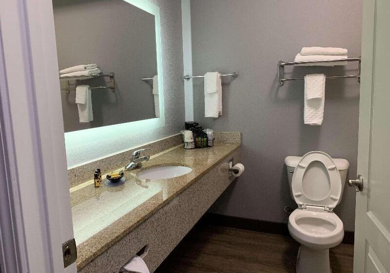 Best Western Plus Olive Branch Hotel & Suites