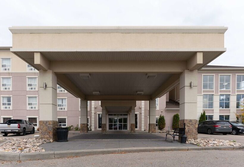 فندق Best Western Plus South Edmonton Inn & Suites