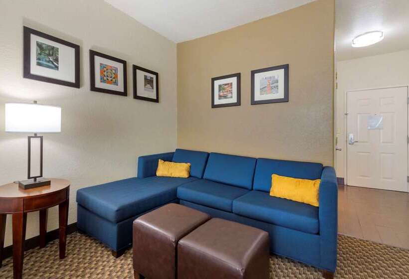 ホテル Comfort Inn And Suites Near Six Flags And Medical Center