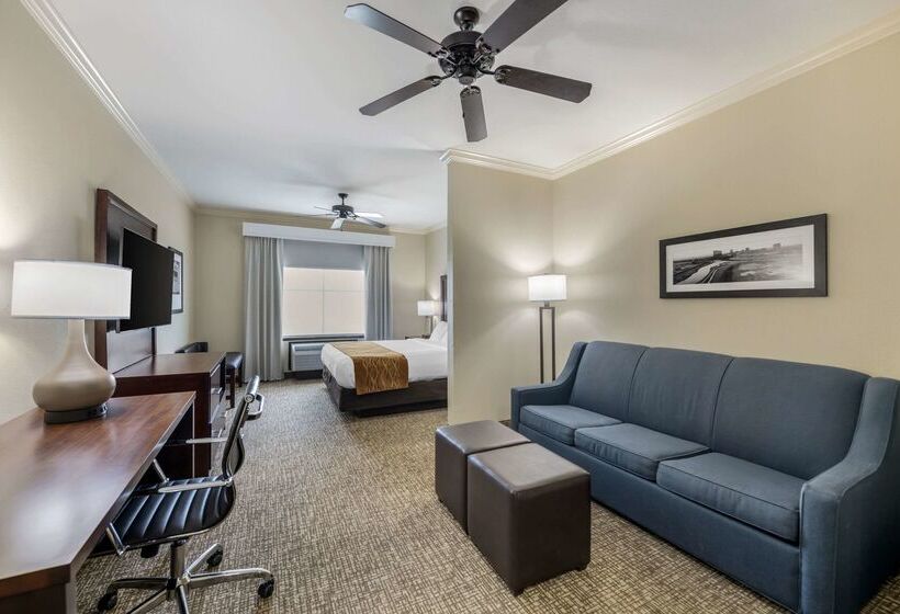 هتل Comfort Inn & Suites Fort Worth  Fossil Creek