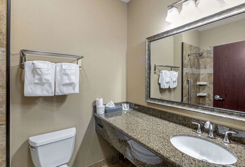 هتل Comfort Inn & Suites Fort Worth  Fossil Creek