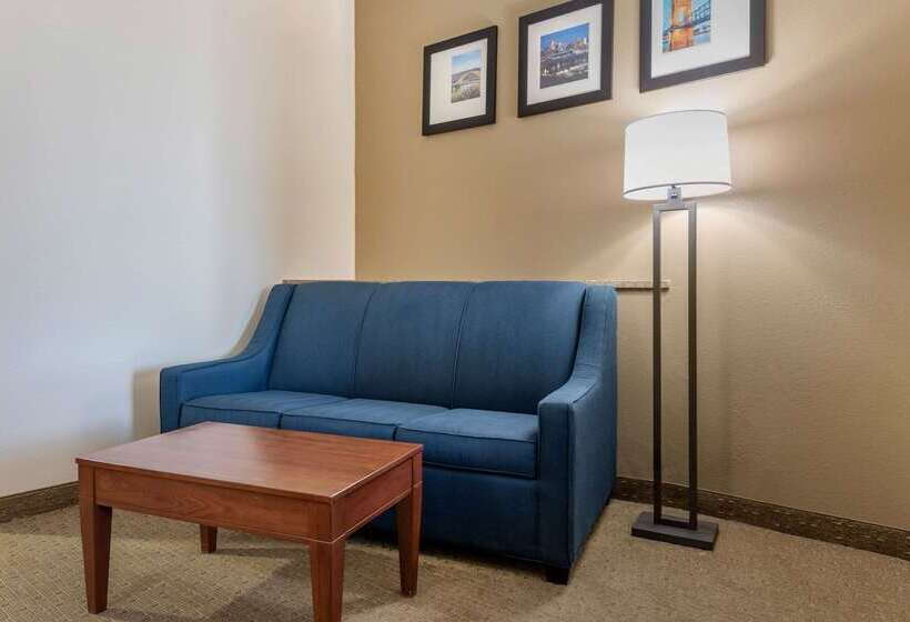 هتل Comfort Suites Cincinnati Airport