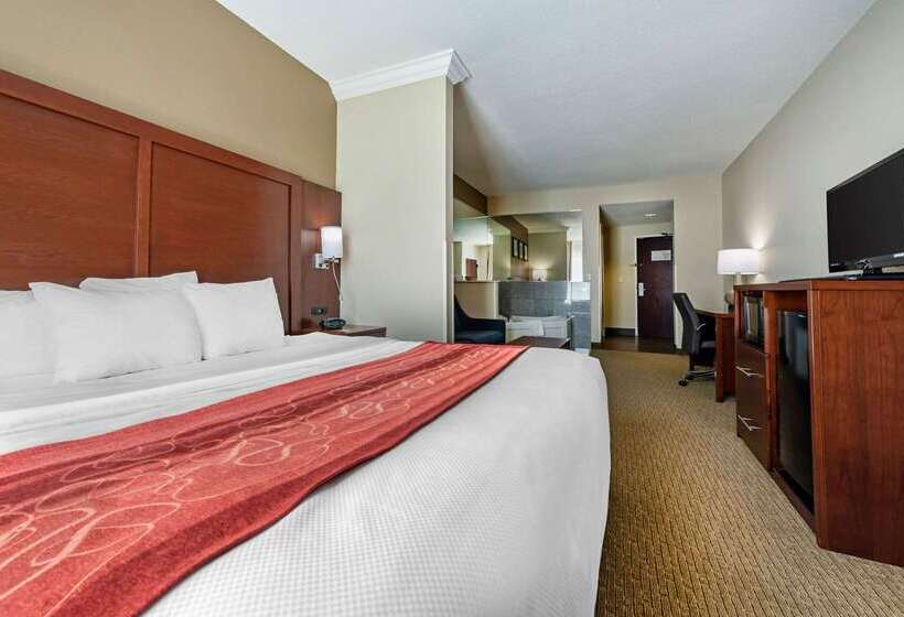 Hotel Comfort Suites Cincinnati Airport