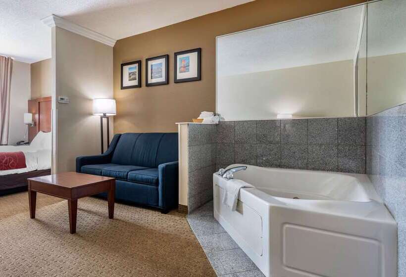 酒店 Comfort Suites Cincinnati Airport