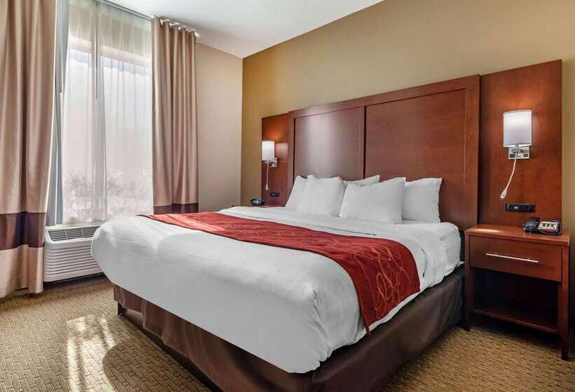 هتل Comfort Suites Cincinnati Airport