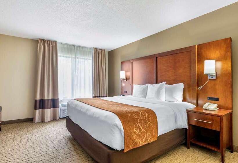 هتل Comfort Suites Grand Rapids North