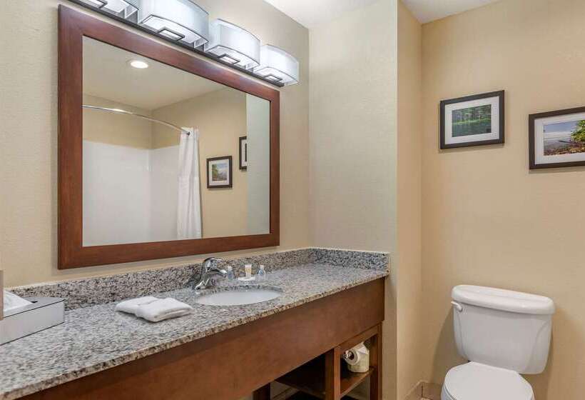 هتل Comfort Suites Grand Rapids North