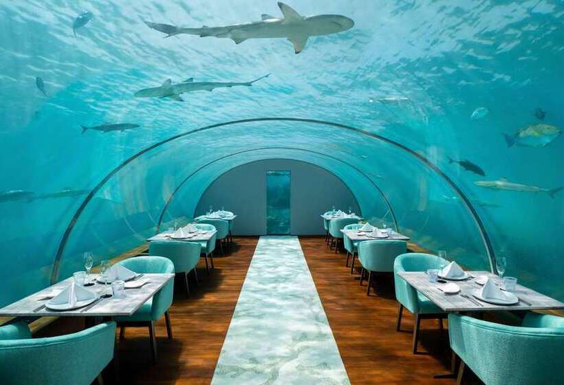 Fotos del hotel Conrad Maldives Rangali Island:  34