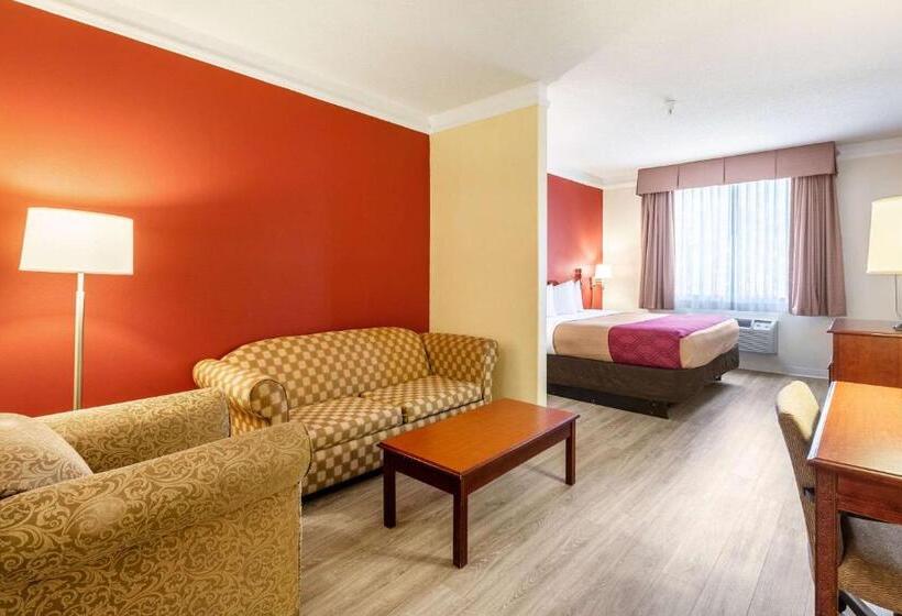 هتل Econo Lodge  Inn & Suites