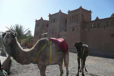 هتل Espace Kasbah Amridil