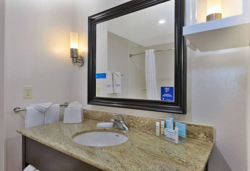 هتل Hampton Inn & Suites Flint/grand Blanc