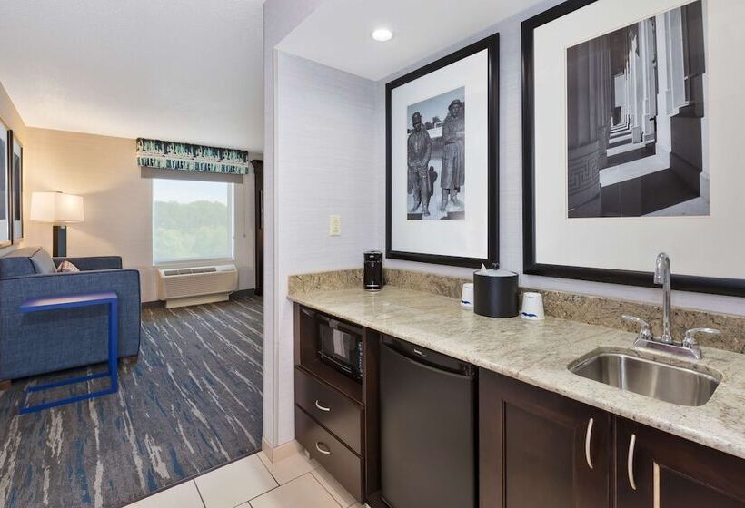 هتل Hampton Inn & Suites Flint/grand Blanc