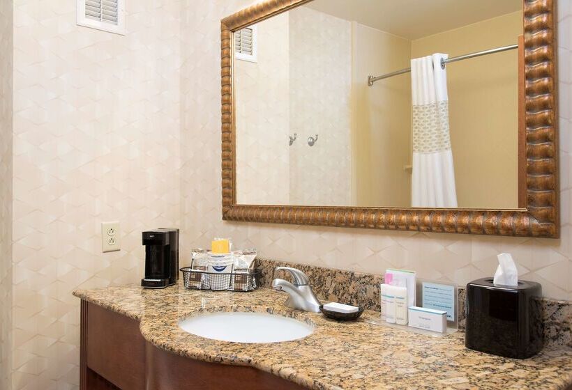 هتل Hampton Inn And Suites Indianapolis Fishers