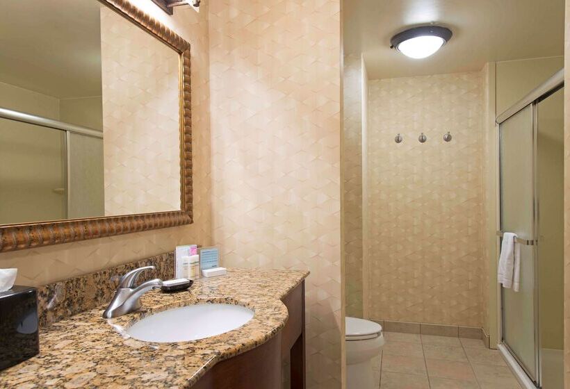 هتل Hampton Inn And Suites Indianapolis Fishers