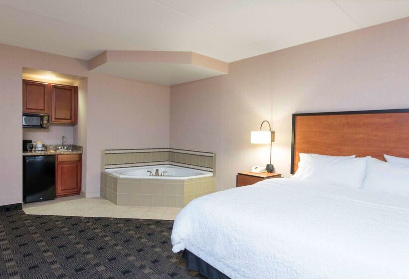 هتل Hampton Inn And Suites Indianapolis Fishers