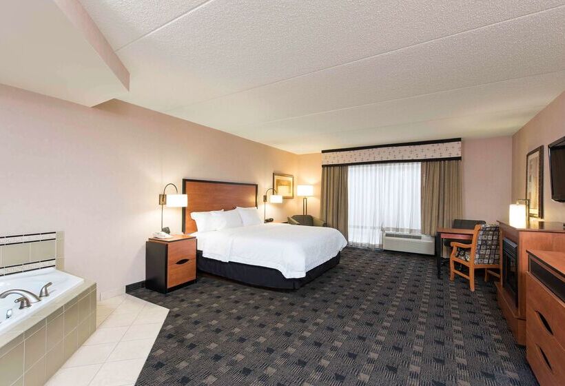 هتل Hampton Inn And Suites Indianapolis Fishers