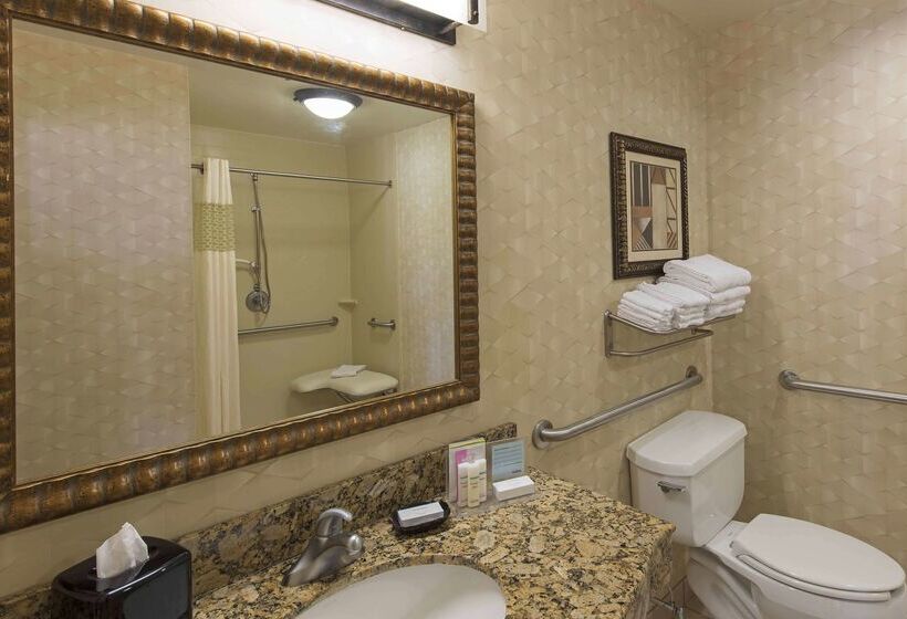 هتل Hampton Inn And Suites Indianapolis Fishers