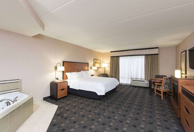 هتل Hampton Inn And Suites Indianapolis Fishers