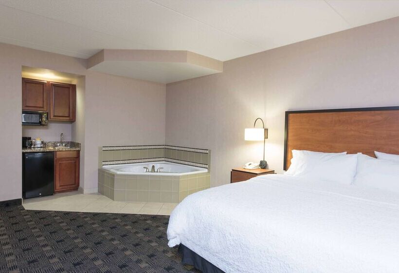 هتل Hampton Inn And Suites Indianapolis Fishers