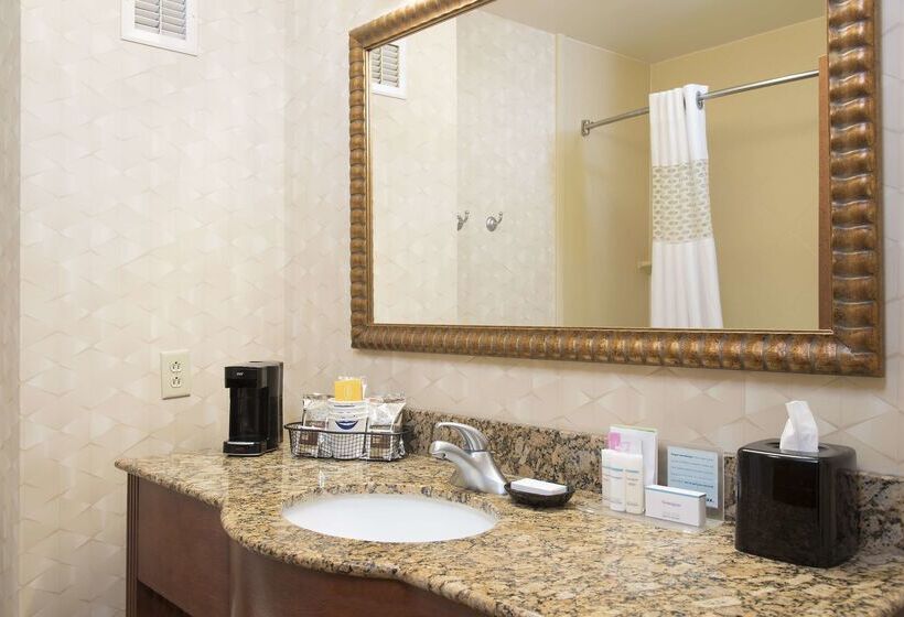 هتل Hampton Inn And Suites Indianapolis Fishers
