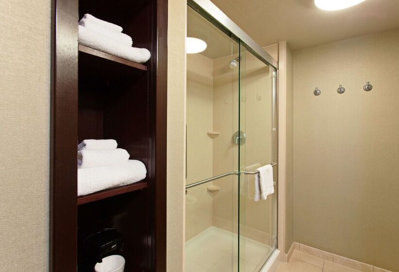 هتل Hampton Inn & Suites Merced