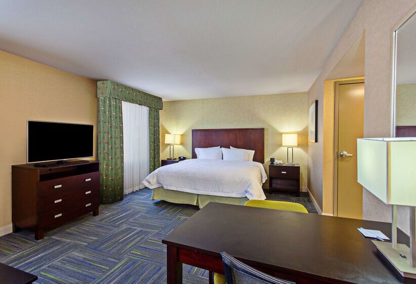 هتل Hampton Inn & Suites Merced