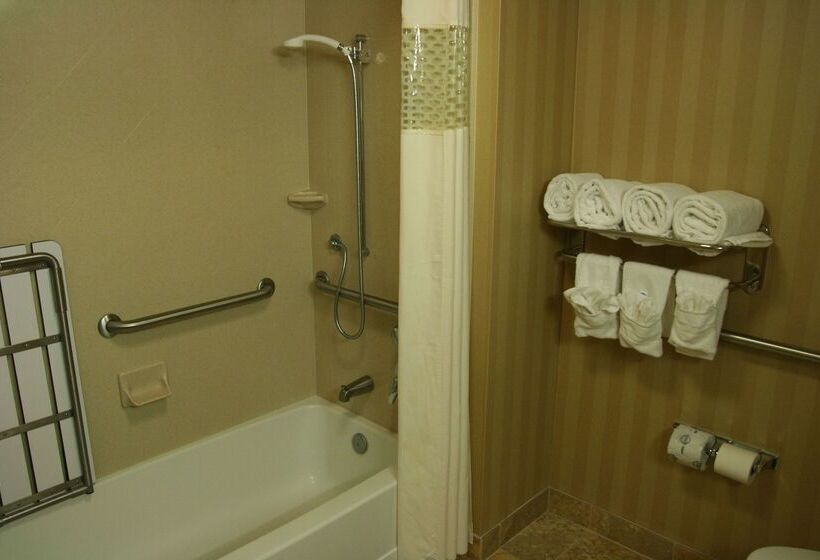 هتل Hampton Inn & Suites Mobile Providence Park/airport