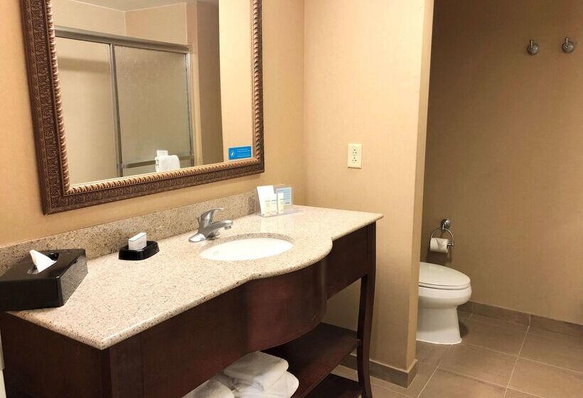 Отель Hampton Inn And Suites Norfolk Airport