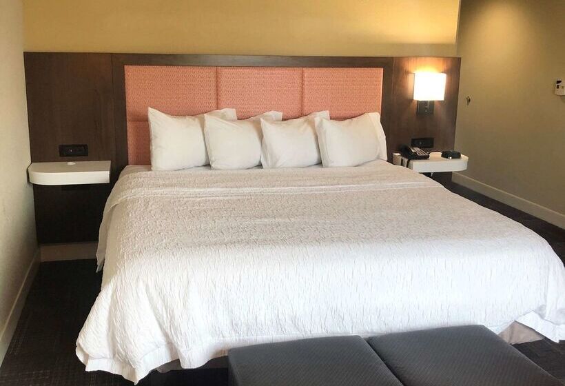 هتل Hampton Inn & Suites Norfolk Airport