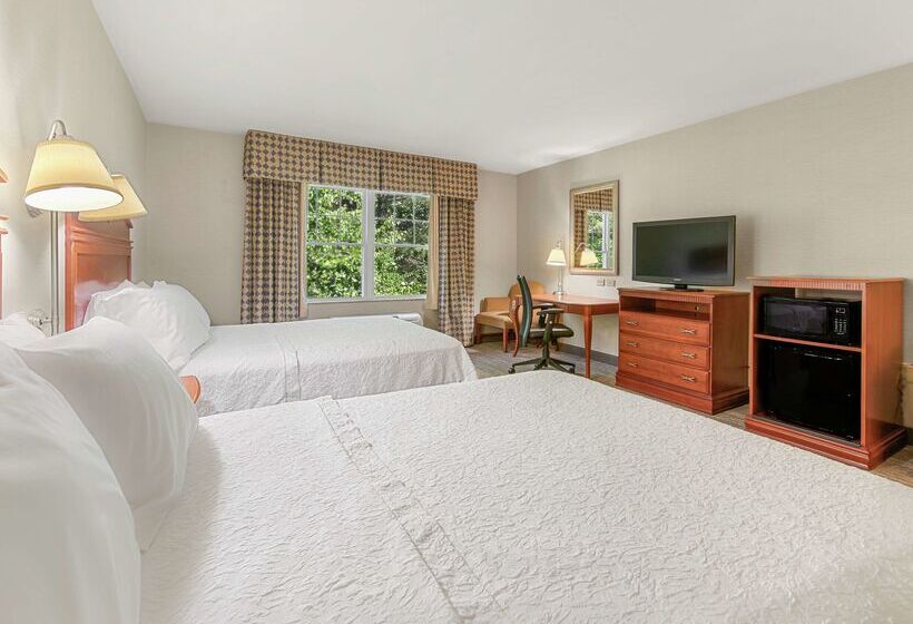 هتل Hampton Inn & Suites North Conway