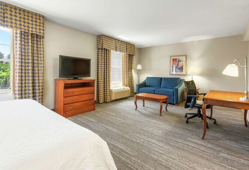هتل Hampton Inn & Suites North Conway